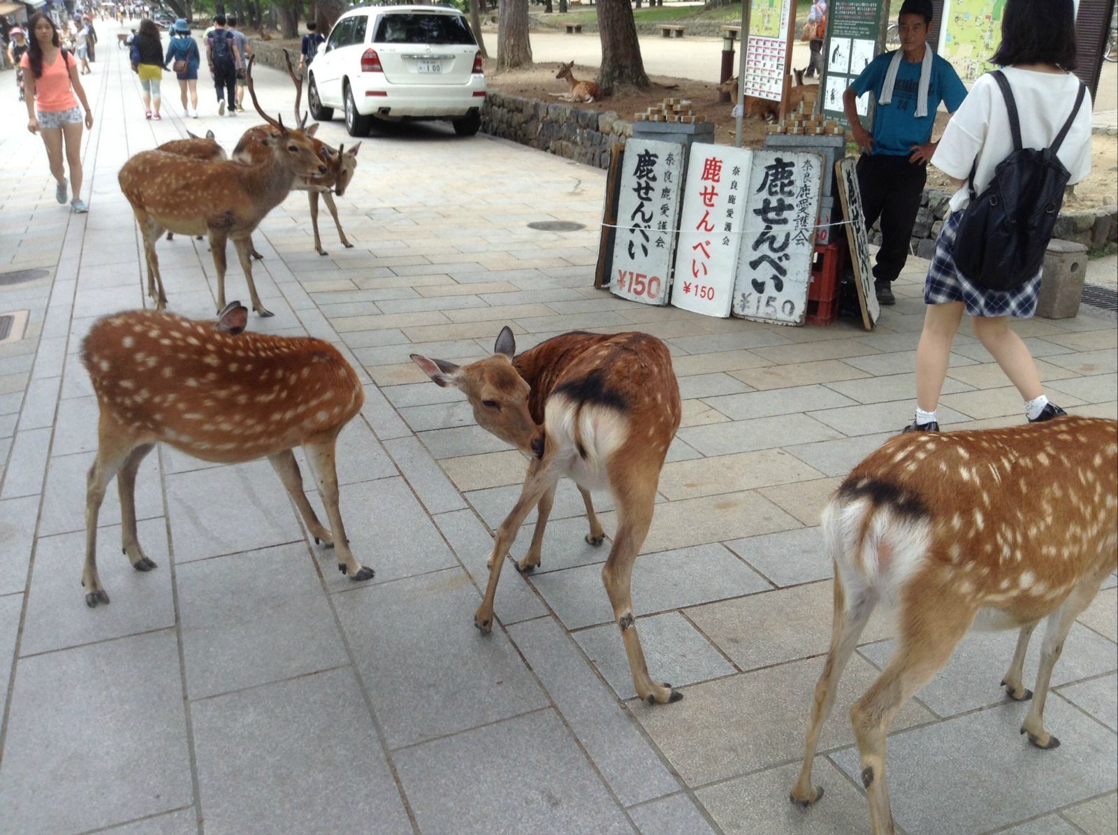 日本旅游